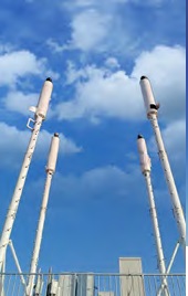 Flagpole (FP)
