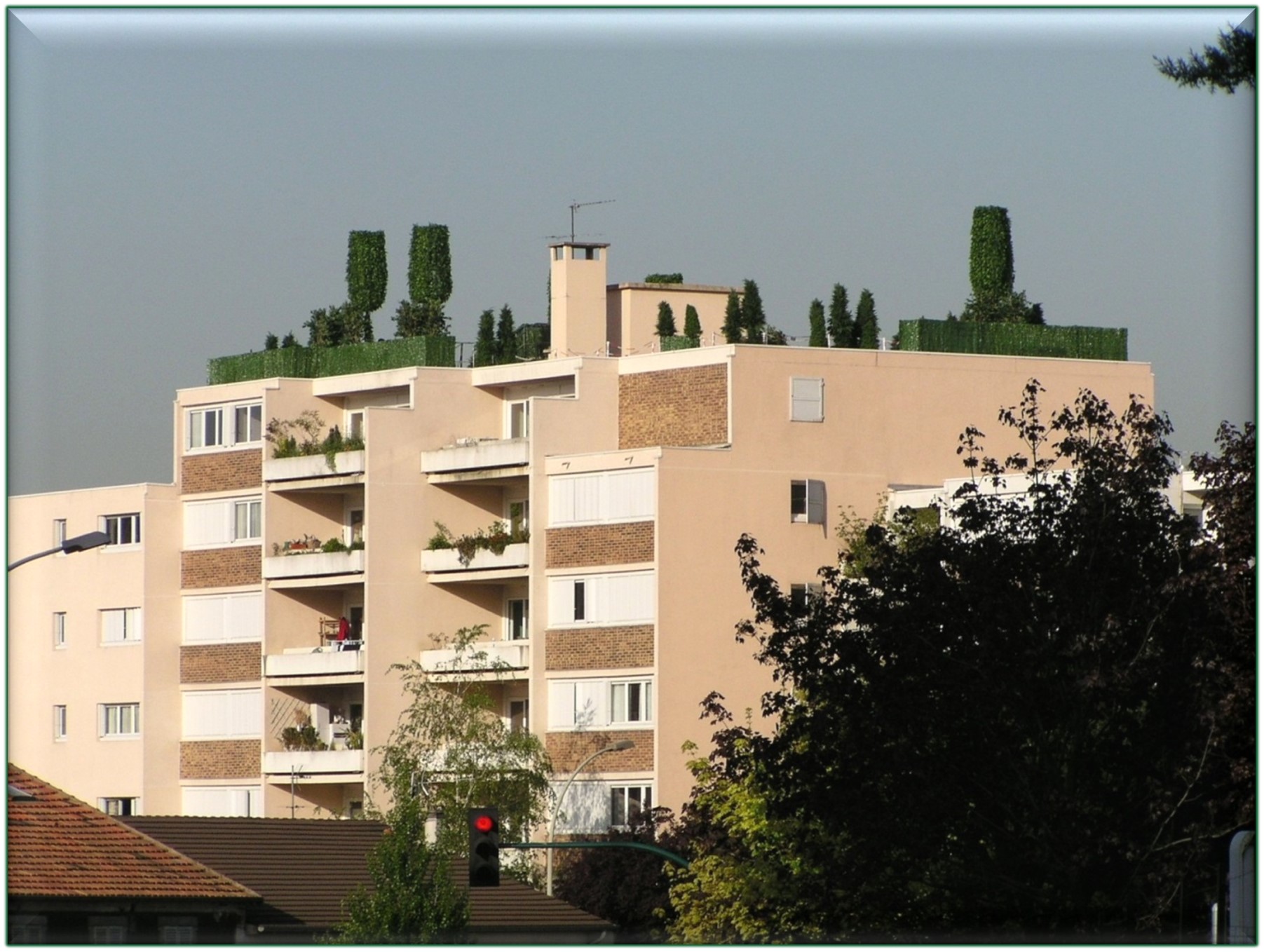 Rooftop Garden (RG)